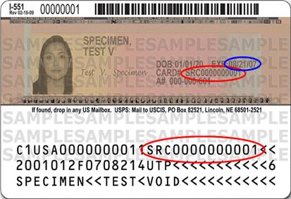Back of latest version of the Permanent Resident Card (Form I-551) with the card number circled in red (middle and bottom circles) and expiration date circled in blue (top circle).